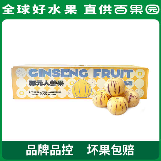 PAGODA百果园 树上熟人参果（特大）4斤彩箱装 商品图0