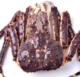 帝王蟹  螃蟹  一只5斤左右需补差价（送货路上不保活）