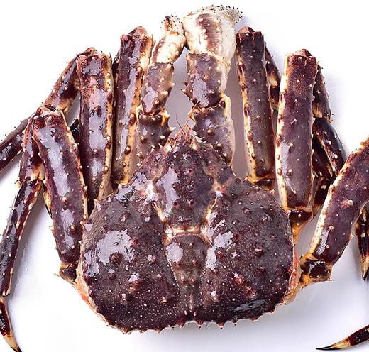 帝王蟹  螃蟹  一只5斤左右需补差价（送货路上不保活） 商品图0