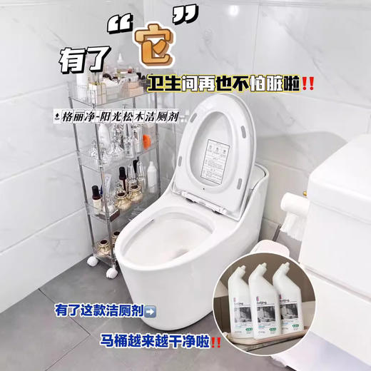 「买1送1！阳光松木洁厕剂」格丽净马桶清洁液 居家日用洁厕宝洁厕灵除垢去味卫生间清洁工具 商品图1