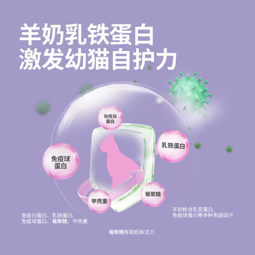 双12限时优惠【纯刻  Pro专业系列  】  年卡囤货16包        分期发货 还带湿粮大礼包 商品图2