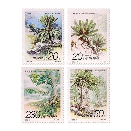 《苏铁》特种邮票 1996-7 商品图0