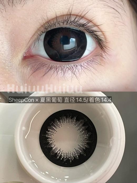 【实拍系列】偏大着色自然系列-夏黑葡萄/微醺葡萄/京玉葡萄/巨峰葡萄/旋转芭蕾/夏末芭蕾-14.5mm/14.4mm 【年抛 度数0-1000度 无525/575 】 商品图4