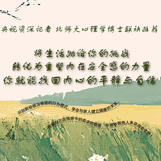 安全感是内心长出的盔甲 商品图2