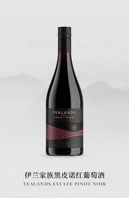 第261期丨新西兰伊兰酒庄黑皮诺（单一园）2021干红葡萄酒 商品图0