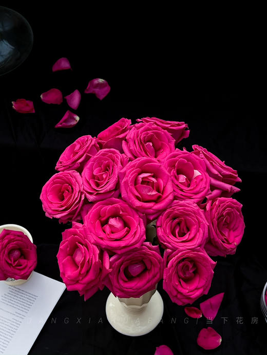 【AB级弗洛伊德玫瑰.第二件减10元】10支/份 长约60-65cm 商品图14