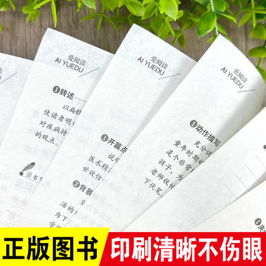 科学家的故事 商品图4