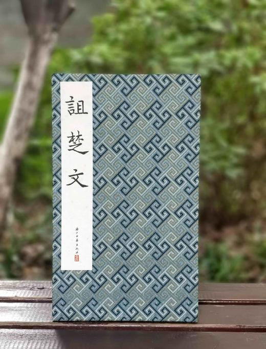 《诅楚文》，布面经折装，16开，历代法帖精粹编委会编，浙江古籍出版社2022年5月一版一印，定价300，售价98元。 商品图0