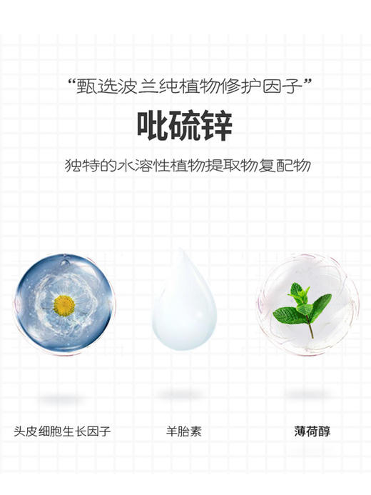 【买一送一】Vellie珐埃莉波兰原装进口山羊奶去屑修复洗发露 500ml+山羊奶身体乳500ml套组 商品图6