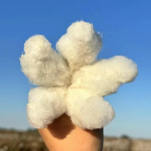 【正宗新疆棉花被】有着阳光味道的棉被，采用南疆手采棉花，蓬松的纤维感，云朵般轻柔 商品图4