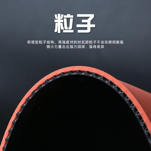 友谊729 龙腾系列套胶 商品图4