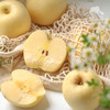 生态黄金维纳斯苹果（烟台） | 合作生产*Ecological Golden Venus Apple| Partner Production 商品缩略图2