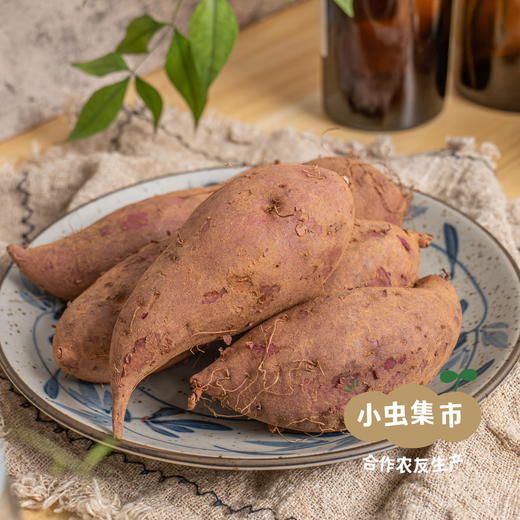 生态紫薯 5斤装 | 合作农友生产，产自四川简阳，生产者：范华侨/张勇 *【公平贸易农人定价】 商品图13