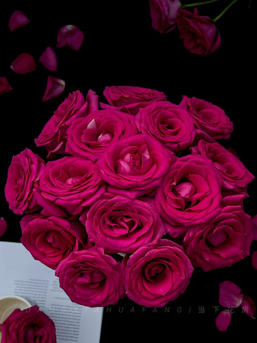 【AB级弗洛伊德玫瑰.第二件减10元】10支/份 长约60-65cm 商品图11