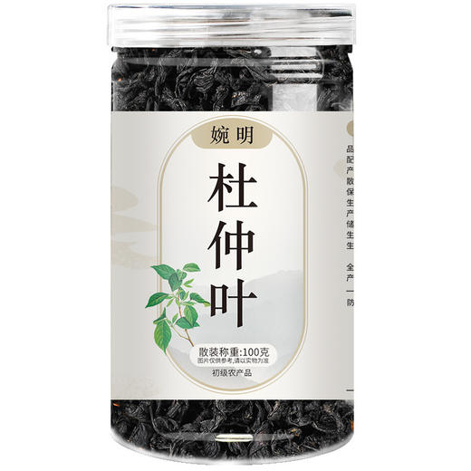 婉明杜仲叶 杜仲茶100克瓶装 杜仲叶 大叶浓香 杜仲叶雄花茶 商品图4