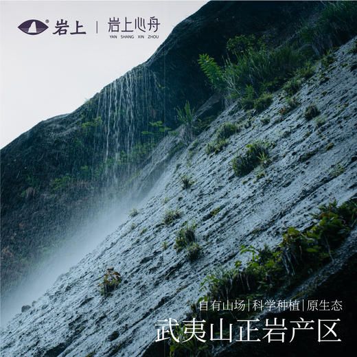 岩上x岩上心舟 非遗鉴赏系列-紫银·品味款名枞·奇丹/瓜子金/奇兰 商品图2