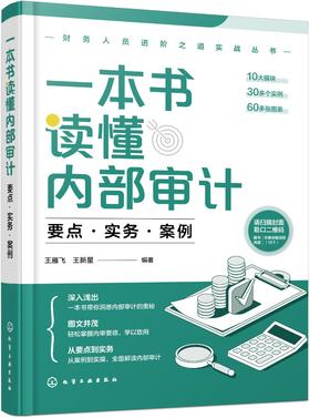 财务人员进阶之道实战丛书--一本书读懂内部审计：要点·实务·案例