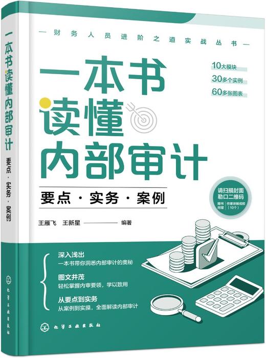 财务人员进阶之道实战丛书--一本书读懂内部审计：要点·实务·案例 商品图0