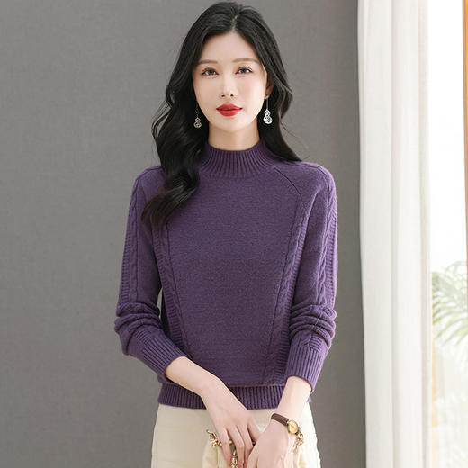CC-103-6379秋冬新款纯色半高领保暖针织衫毛衣女套头厚款内搭上衣打底衫 商品图2