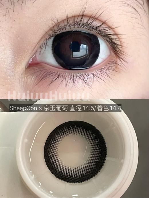 【实拍系列】偏大着色自然系列-夏黑葡萄/微醺葡萄/京玉葡萄/巨峰葡萄/旋转芭蕾/夏末芭蕾-14.5mm/14.4mm 【年抛 度数0-1000度 无525/575 】 商品图2