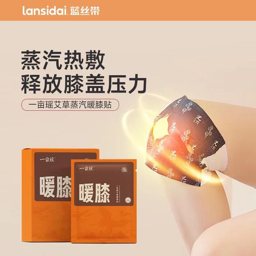 一亩瑶 蒸汽暖膝贴 390mm145mm*6片 商品图0