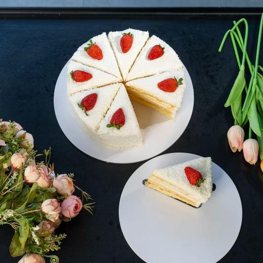 椰椰白森林-动物淡奶油 商品图0