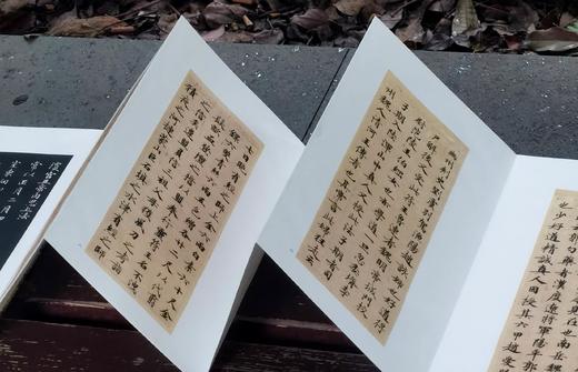 《唐人灵飞经》，布面经折装，16开，历代法帖精粹编委会编，浙江古籍出版社2022年5月一版一印，定价：480，售价：120元 商品图5