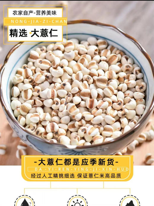【一件代发T】精品薏米仁450g/袋*2 商品图0