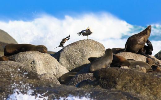 南非自然保护区的野奢探索 商品图2