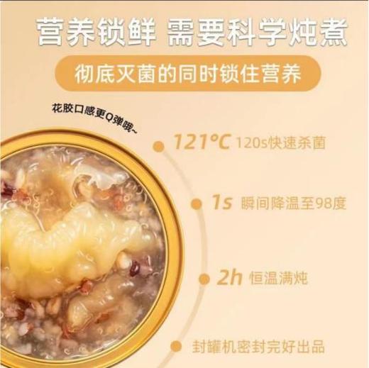 佛罗伦汀杨枝甘露鲜炖桃胶血糯米藜麦花胶组合免煮即食 商品图5