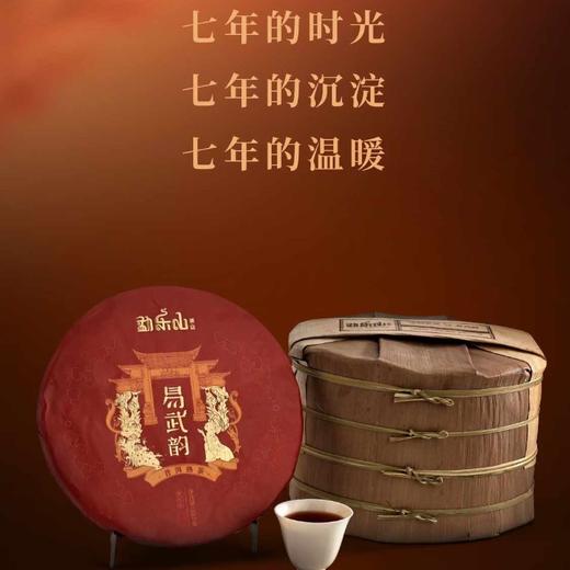 勐乐山2024年双层铁饼易武韵普洱熟茶357g 商品图6