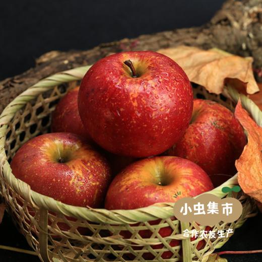【买2件减20元】有机阿珍富士苹果 多种规格 | 合作农友生产，产自陕西千阳，生产者：张家祯 *【公平贸易农人定价】 商品图14