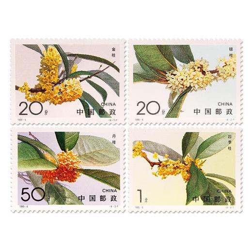 《桂花》特种邮票 1995-6 商品图0