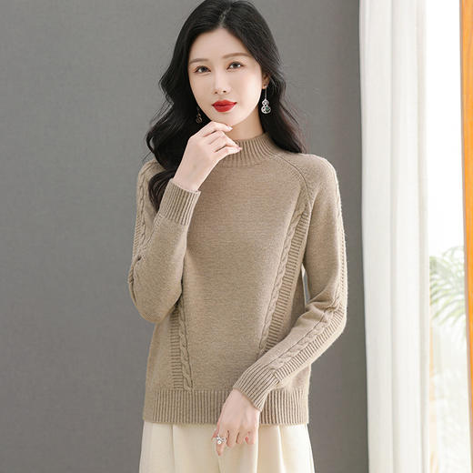 CC-103-6379秋冬新款纯色半高领保暖针织衫毛衣女套头厚款内搭上衣打底衫 商品图3