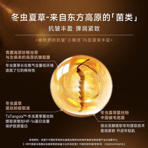 【微商城】ANU阿奴野奢虫草面膜涂抹面膜 商品图2