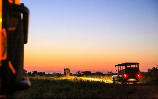南非自然保护区的野奢探索 商品图4