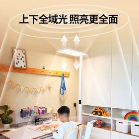 未来视界AA级护眼大路灯（进口普瑞光源）
