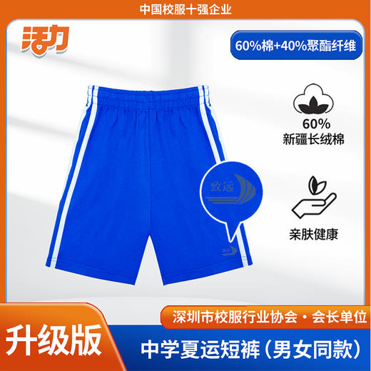 【升级版】深圳外国语致远高中夏季校服 商品图4