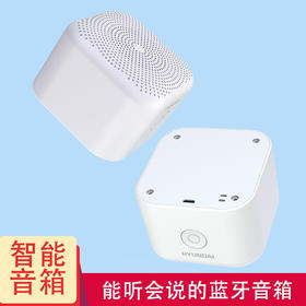 韩国现代（HYUNDAI） AI智能蓝牙音箱 YH-F006