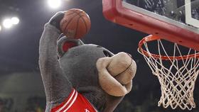 【NBA24-25赛季前瞻-西岸】