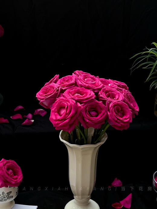 【AB级弗洛伊德玫瑰.第二件减10元】10支/份 长约60-65cm 商品图13