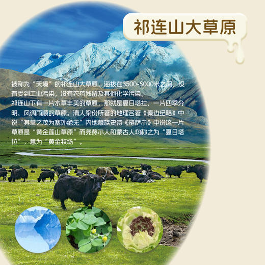 【酸奶莲续订】青藏祁莲酸奶200g*12支*8箱 一键下单 分期发货 商品图4