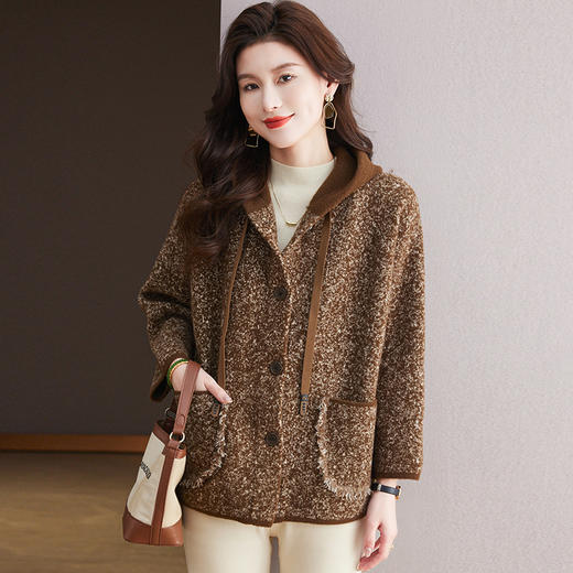 CC-10-5935宽松休闲连帽开衫大码2024新款毛呢外套女设计感小众针织衫 商品图0