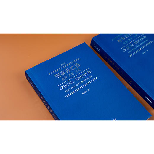 刑事诉讼法：规则 原理 应用（第六版）易延友著 法律出版社 商品图9