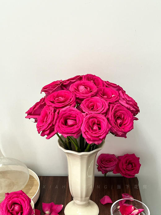 【AB级弗洛伊德玫瑰.第二件减10元】10支/份 长约60-65cm 商品图5
