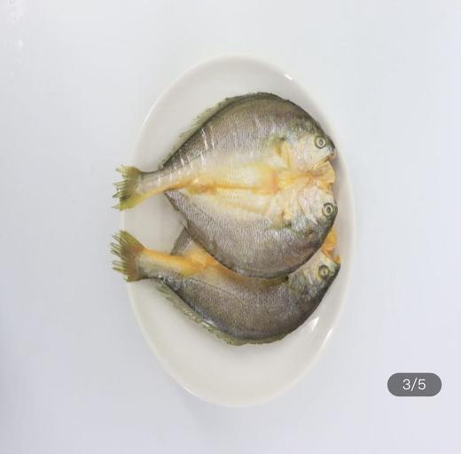 0593【国企严选，山海食材】速冻原味大黄鱼去鳞去鳃去内脏新鲜宁德海鲜原味黄花鱼250g 商品图2