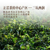 岩语 三两长久老枞水仙礼盒装 正岩特级武夷岩茶乌龙茶送礼60g 商品缩略图4