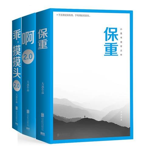 【大冰3册】保重+啊2.0+乖,摸摸头2.0 大冰作品 商品图0