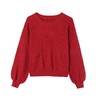 CC-27-24162短款洋气套头设计感毛衣2024冬季毛衣圆领上衣秋季新款红色针织衫 商品缩略图4