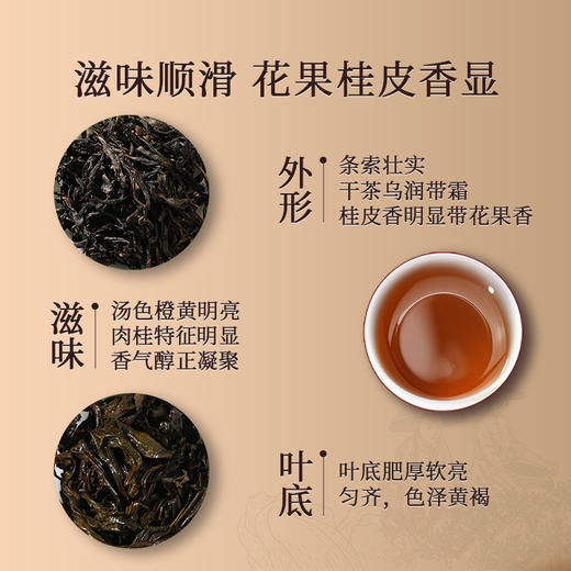 岩语 鉴山九龙窠肉桂 茶叶礼盒装正宗武夷山正岩特级乌龙茶送礼51g 商品图1